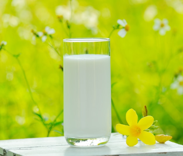 Glass of milk on white table in morning garden