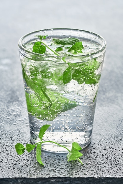 Glass of mineral carbonated water with crushed ice and mint leaves on gray wet stone