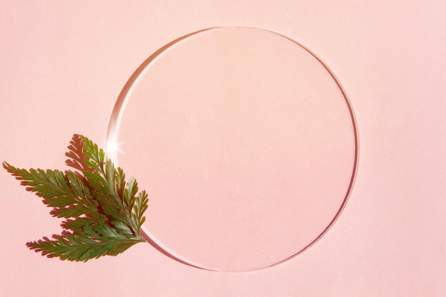 Glass mockup with leaves, pink background and sunlight