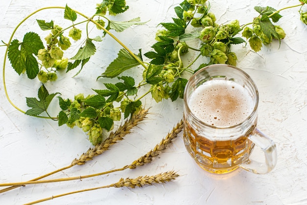 Фото Стеклянная кружка пива с колосьями ячменя и ветвей хмеля на белом структурированном фоне. вид сверху.