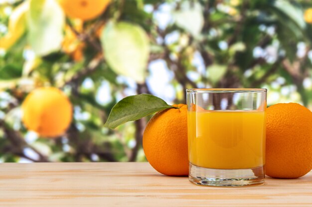 Glass of orange juice and orange fruits on nature.