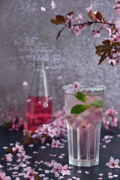 Glass of pink rose champagne with ice and mint. Blossom cherry branches above and scattered cherry blossoms