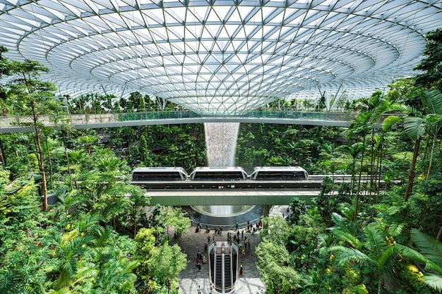 A glass roof with a walkway and plants inside