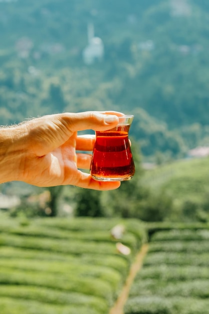 Foto un bicchiere di tè in mano una piccola tazza di vetro con il tè sullo sfondo della piantagione