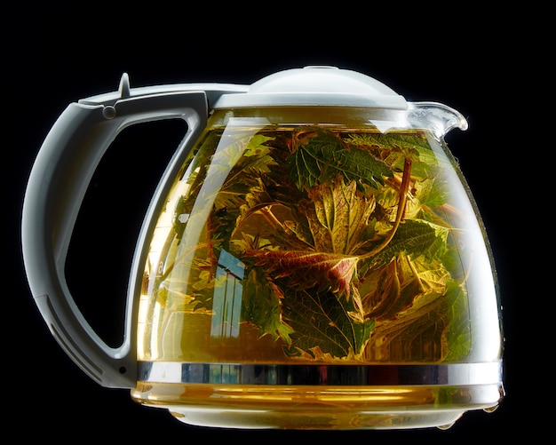 Glass teapot with medicinal nettle on black isolated