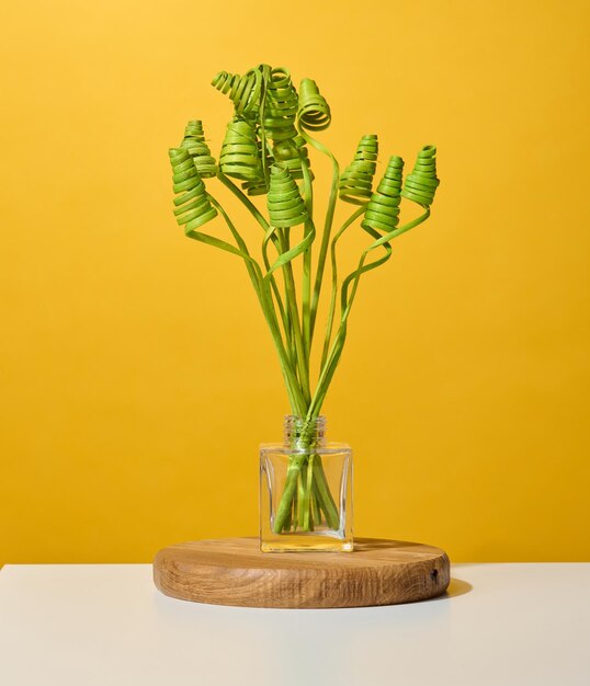 Glass transparent vase with green dried flowers on a white table yellow background