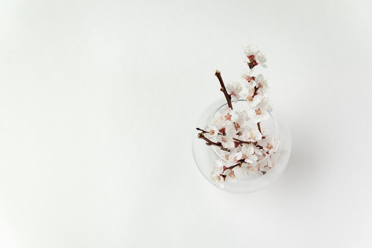 Glass vase and branch with blossoms on white background. Top view. Template. Copy space.