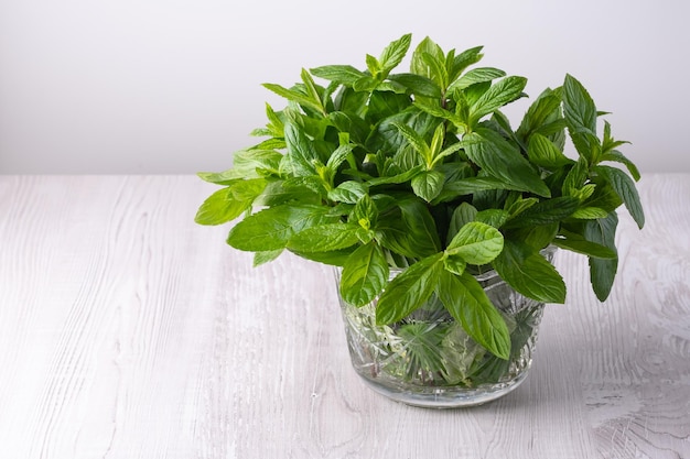 香りのある薄荷の枝で満たされたガラスの花瓶
