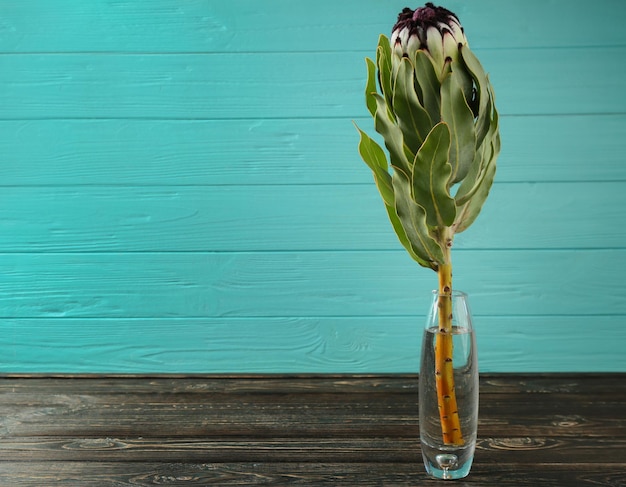 Glass vase with beautiful protea cynaroides flower on wooden background