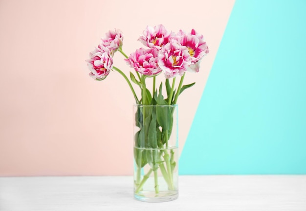 Glass vase with beautiful tulips on color background