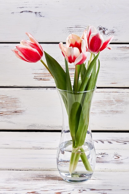 春の花が咲くガラスの花瓶家を美しくする方法
