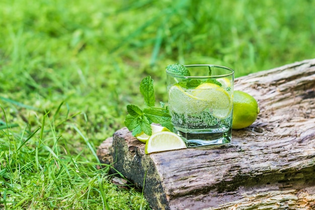 Glass of water with mint and lime