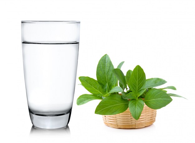 Glass of water with sweet basil isolated