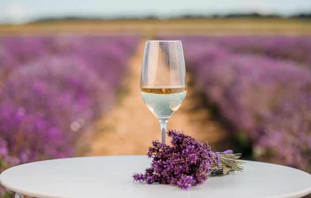 Glass of white wine in a lavender field in Provance Violet flowers on the background