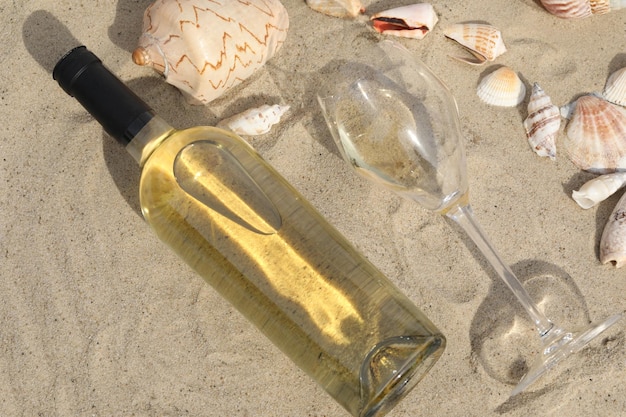 貝殻の背景として砂の上の白ワインのグラス