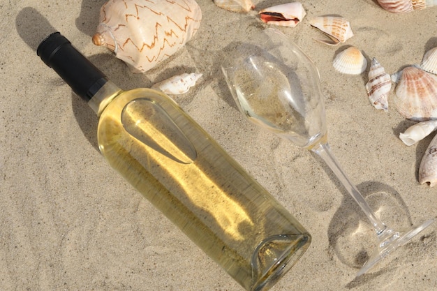 glass of white wine on sand as background with shells