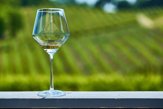 Glass of white wine and vineyards