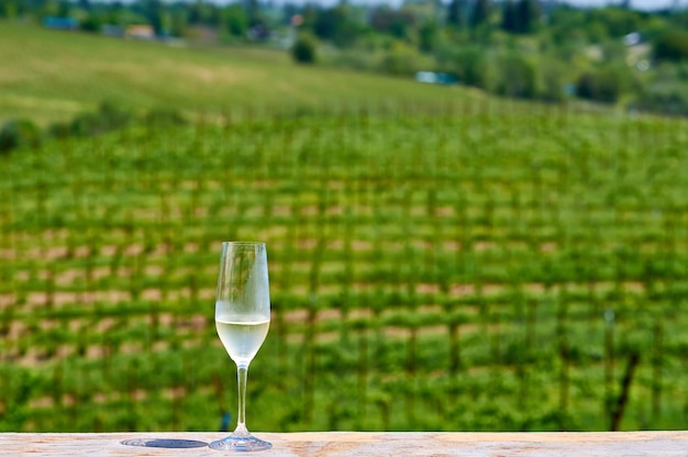 Glass of white wine and vineyards