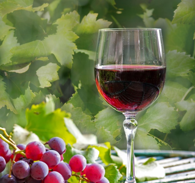 Glass of wine with grapes and leaves on a wooden table