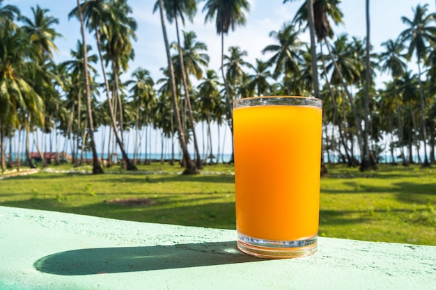 Glass with Freshly Pressed Tropical Fruits Juice Standing on Beach. Green Palm Tree Leaves Succulents in Background. Blue Sky Golden Sunlight Turquoise Sea.