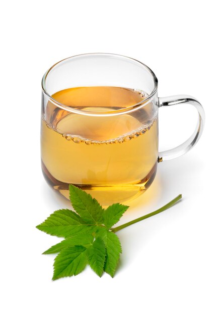 Стакан с молотым чаем из бузины и свежей зеленой веткой молотой бузины спереди крупным планом, изолированный на белом фоне
