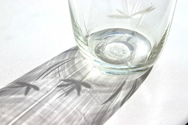 A glass with a leaf pattern on it is casting a shadow on a white surface.