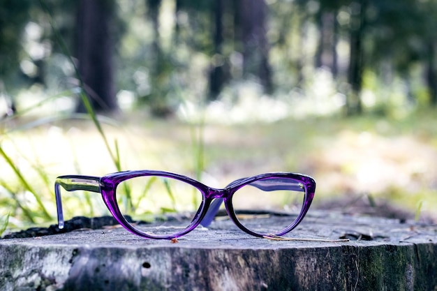 Glasses in the forest reading in nature