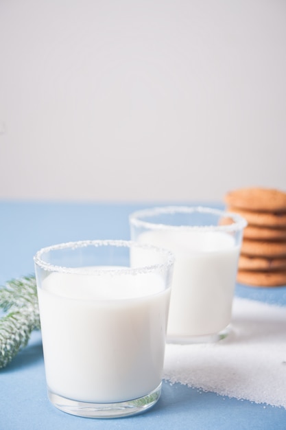 Glasses of milk, pine branch and homemade cookies on the blue 