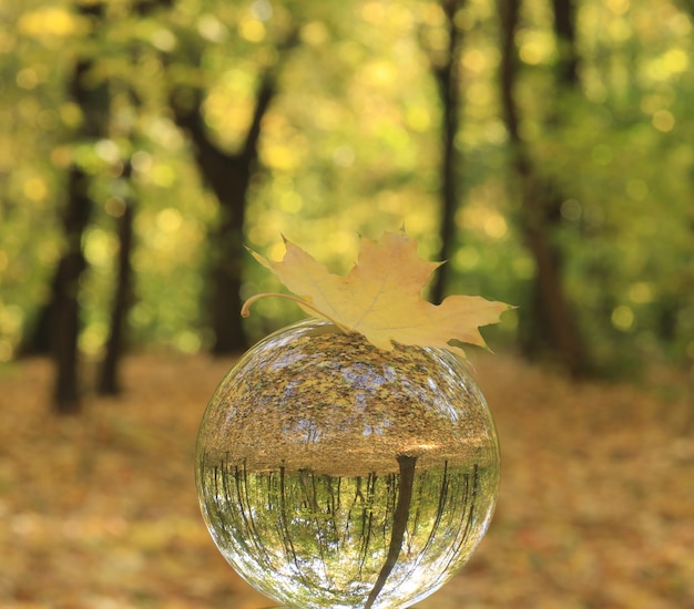 glazen bol op herfstlandschap