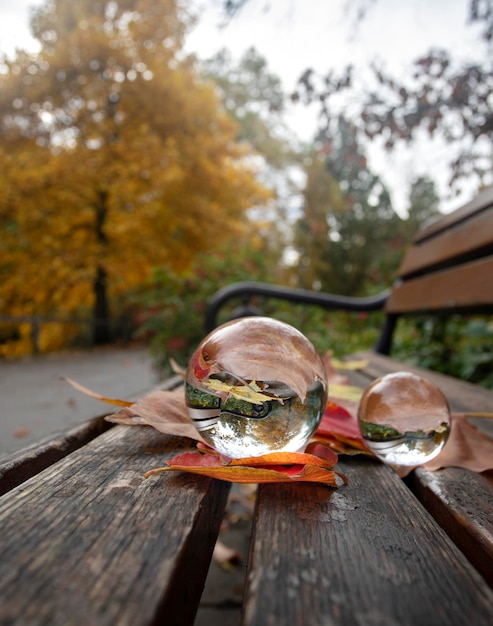 glazen bollen op een parkbank in de herfst