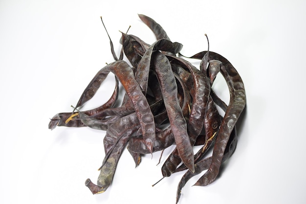 Gleditsia triacantnos pods on white background