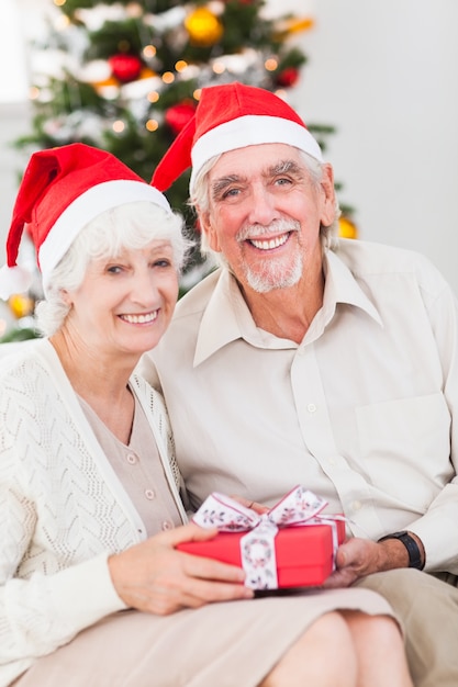 Glimlachend oud paar die Kerstmisgiften ruilen