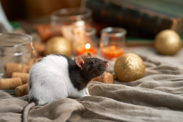 Glimlachende decoratieve rat onder Kerstmisspeelgoed en kaarsen. 2020 nieuwjaarssymbool.