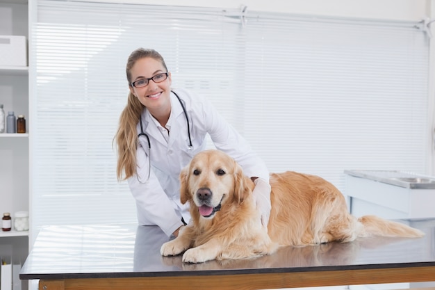 Glimlachende dierenarts die een Labrador onderzoekt