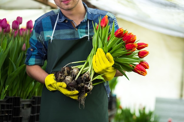 Glimlachende man tuinman bloemist met een boeket bloemen in een kas waar de tulpen cultiveren