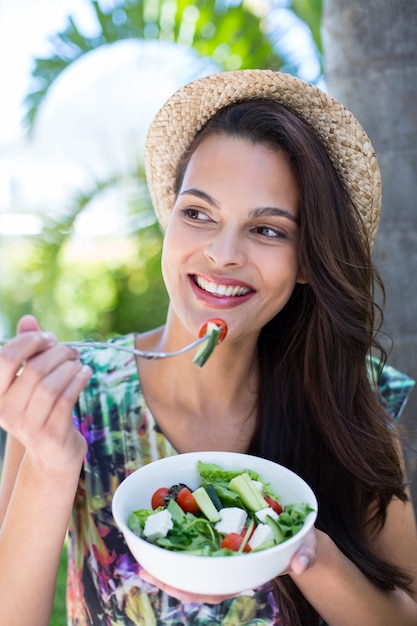 Glimlachende mooie brunette die een picknick heeft