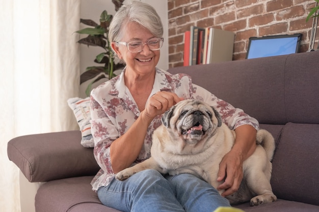 Glimlachende oudere vrouw die thuis op de bank zit met een oude mopshond die op haar benen ligt Liefde en tederheid