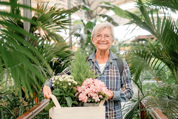 Glimlachende senior blanke vrouw in geruit hemd die geniet van winkelen in de bloemen van de kasplant