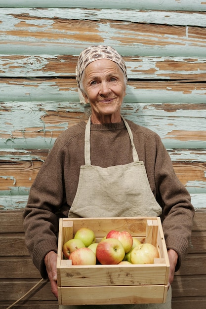 Glimlachende senior vrouwelijke tuinman met houten kist met geplukte verse appels