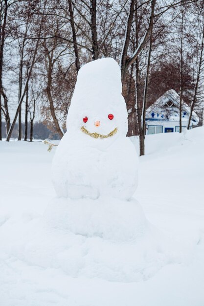 Glimlachende sneeuwman in het park tegen de achtergrond van sneeuw