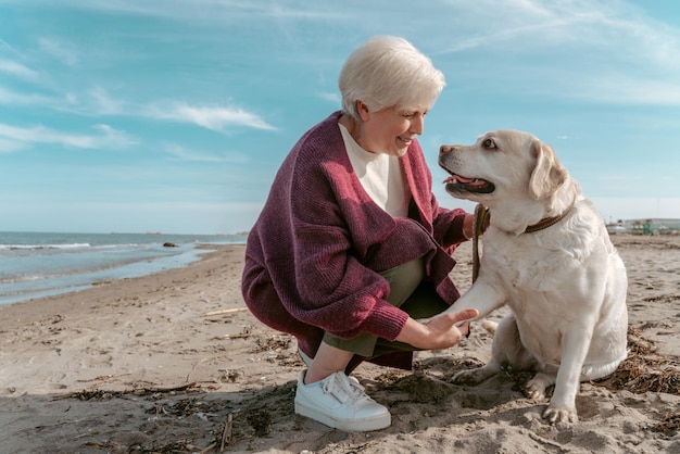 Glimlachende vriendelijke meester die haar gehoorzame hond leert een poot te schudden tijdens de trainingssessie