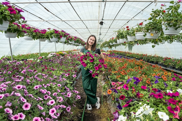 Glimlachende vrouwelijke tuinman die met bloemen in een serre werkt. lentetijd