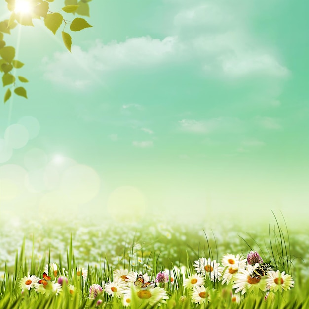 Glinsterende zomerdag op de weide natuurlijke achtergrond