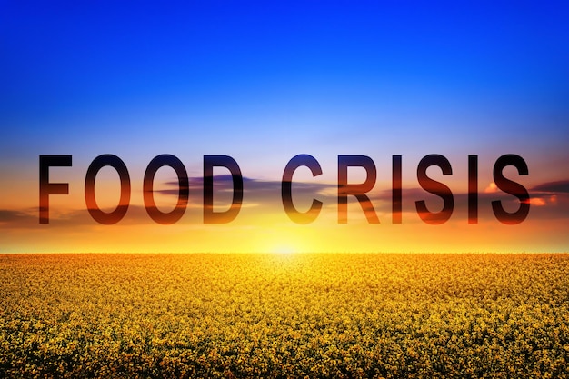 Global food crisis and crop failure military conflict between russia and ukraine threat of hunger