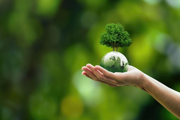 Photo global sustainable environment concept esg net zero eco co2 carbon human hand holding green globe orb with growing tree save our planet world environment day earth day and climate change