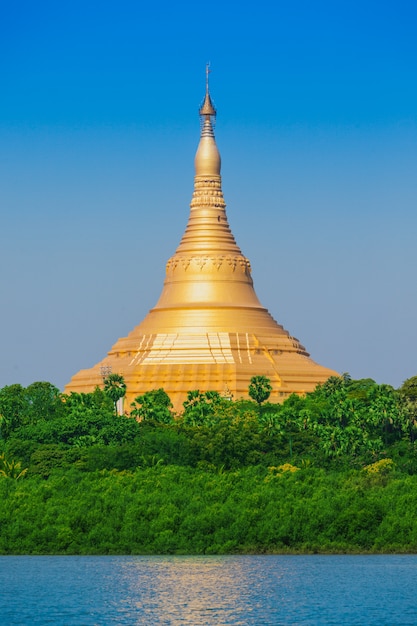 Foto pagoda globale di vipassana