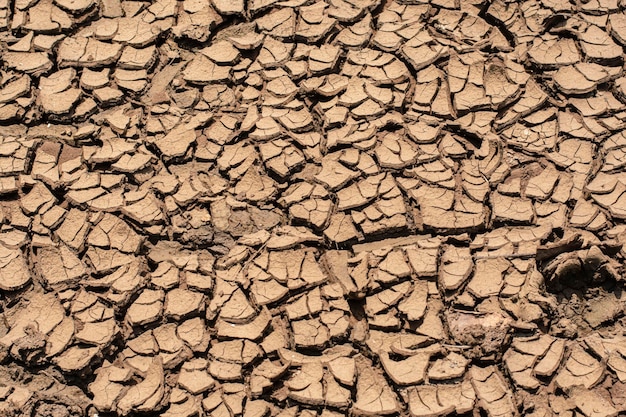 Global warming dried cracked earth soil