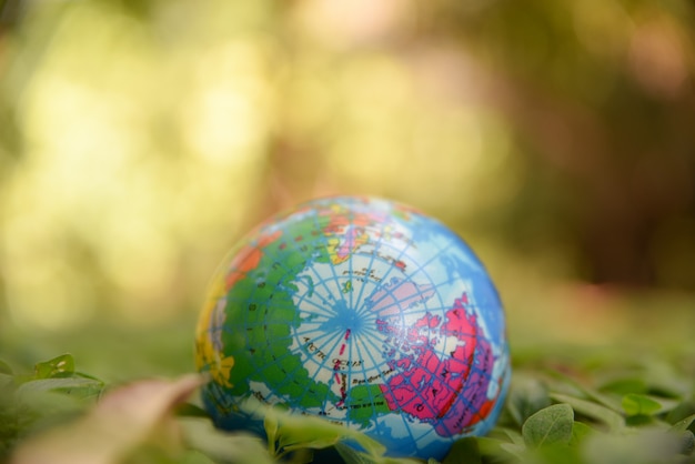 Globe ball on the natural green leaves ground and green bokeh background. World environment day concept.