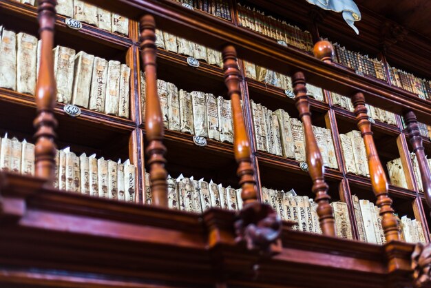 globe bibliotheek puebla Mexico boeken