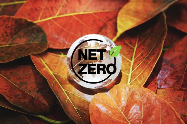 Photo globe crystal with the word net zero on brown leaves background net zero emissions energy saving eco friendly of the earth carbon concept and world environment day